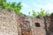 Old castle wall plants and sky