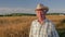 Old caucasian man in a cowboy hat walk in a field of wheat at sunset