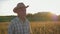 Old caucasian man farmer in a cowboy hat walk in a field of wheat at sunset