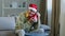 Old Caucasian senior mature grandpa 60s man grandfather male in Christmas X-mas Santa festive red hat at home holding
