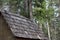 old cedar shingle roof on shed in pacific northwest forest