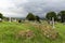 Old celtic cemetery graveyard in ireland