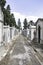 Old cemetery in the city of Lisbon