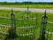 Old cemetery gate