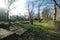 Old cemetery of Gouda behind the Croda factory where last person burried was in 1971