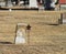 Old Cemetery Gravestone