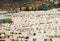 Old cemetery on Mount of Olives in Jerusalem