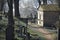 Old cemetery path between grave stones and crosses in spring