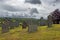 Old cemetery, St Ives, Cornwall, England