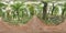 Old cemetery in summer. Graveyard with green trees Tombs in the forest with grass. 3D spherical panorama with 360 degree viewing a