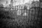 Old cemetery and tombstones in rural town, black and white