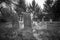 Old cemetery and tombstones in rural town, black and white