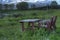 Old chair and table on grassy field near seashore