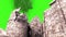 Old Church Bomb Explosion Destruction Debris Green Screen Down 3D Renderings Animations Action Movie