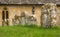 Old Church in Cotswold district of England