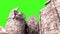 Old Church Explosion Destruction Debris Green Screen Down 3D Renderings Animations Action Movie