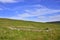 Old Circular  Stone Sheepfold Landscape of West Scotland