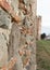 Old City wall of Montagnana town in Veneto Region in Northern It