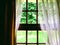 Old classic window with view of green garden. Behind the curtains.