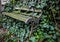 Old classic wooden garden furniture outdoor covered vegetation.