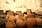 old clay pots decorative, macro