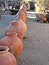 Old Clay Pots Lined up in a Traditional Village