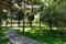 Old cobblestone footpath at a park. Pathway in a Peaceful City Park