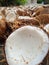 old coconut that is ready to be dried to be used as raw material for oil and cosmetics