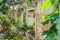 Old collapsed ruin and abandoned house in the jungle overgrown with green plants after ages