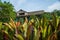 Old colonial style house on a coffee plantage in Ometepe, Nicaragua.