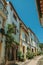 Old colorful houses with flowered shrubs in alley on slope