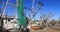 Old commercial fishing boats shrimp fish nets Corpus Christi Texas