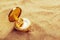 Old compass in dry desert sand, macro shot