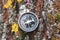 Old compass on tree in forest