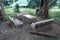 Old concrete chair and benck in forest