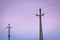 Old concrete electricity poles in the village at twilight. Rustic phone poles with high voltage cables and colourful dawn sky