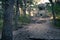 Old concrete infantry bunker in the woods of Hel, Poland. Old military fortification from World War Two and Cold War