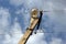 Old concrete pillar with lamp, wires and insulators over sky