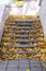 Old concrete steps, strewn with a lot of yellowing fallen autumn leave