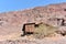 Old construction at Calico Ghost town