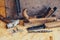 Old construction tools on a wooden workbench flat lay background. Carpenter table. Woodwork