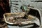 Old corrupted rusted sink in the forest in Ukraine