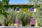 Old cosy Provencal house overgrown with wild green grapes