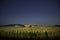 Old cottage in the middle of a field of sunflowers in Tuscany.