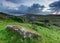 Old Cottage on the Moors