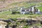 Old Cottage in Rural Ireland