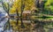 Old cottages under colorful trees