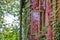 old countryside house window frame with glass and red grapevine vines