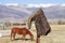 Old Cowboy Boot On Fencepost