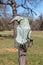 Old cowboy boot hanging on a fence in the Texas Hill Country